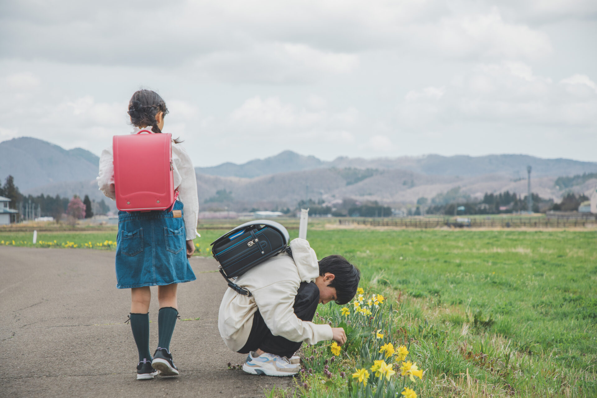 You are currently viewing 2024年ランドセルの人気カラー