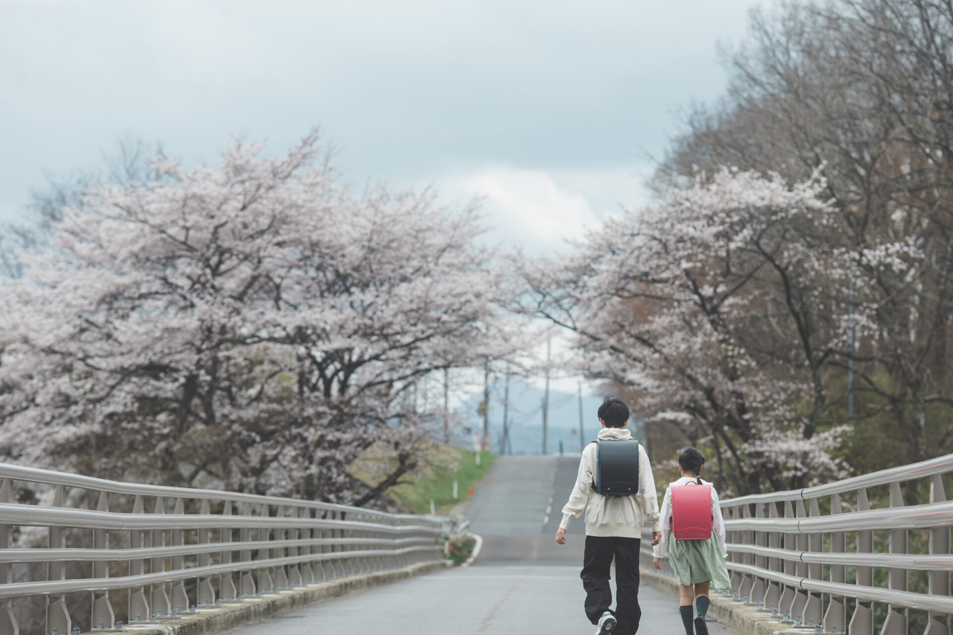 Read more about the article 四季と共に歩むランドセル