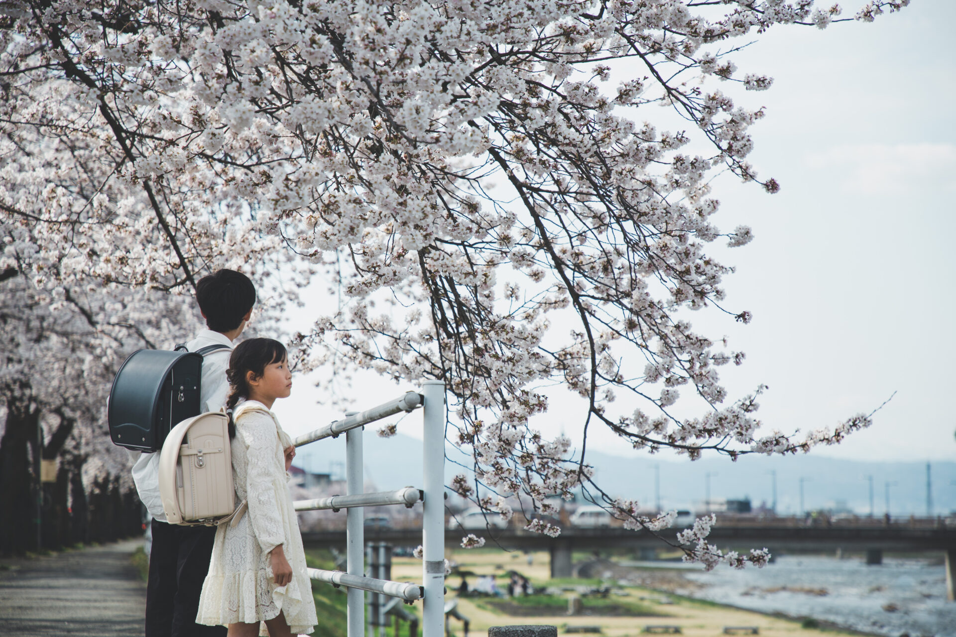 Read more about the article A4フラットファイルが楽々入るサイズ