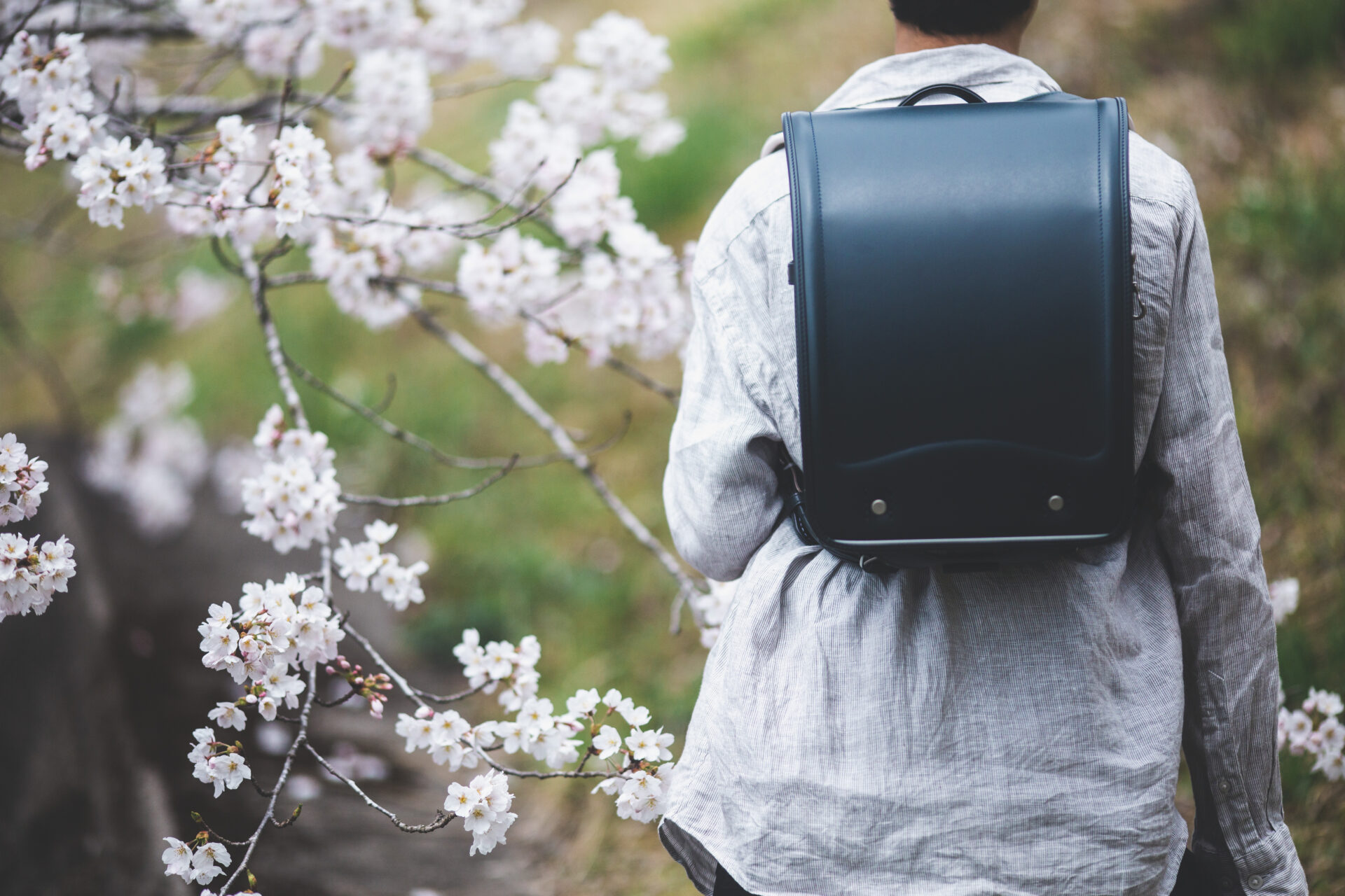 You are currently viewing ご卒業おめでとうございます